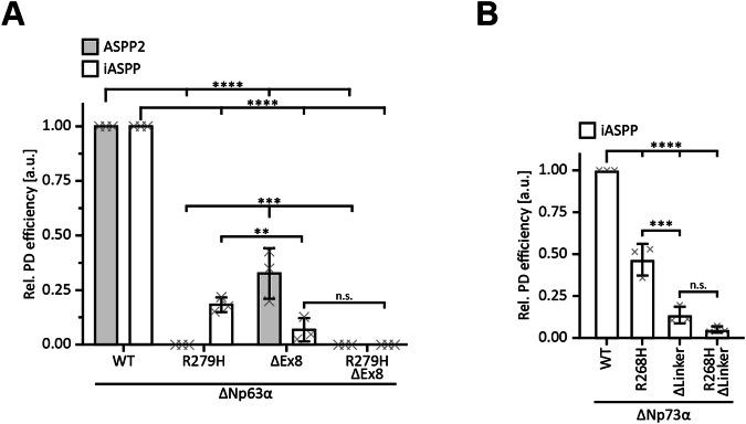 https://cdn.ncbi.nlm.nih.gov/pmc/blobs/32de/11704248/c6bb5e7332c6/41419_2024_7320_Fig4_HTML.jpg