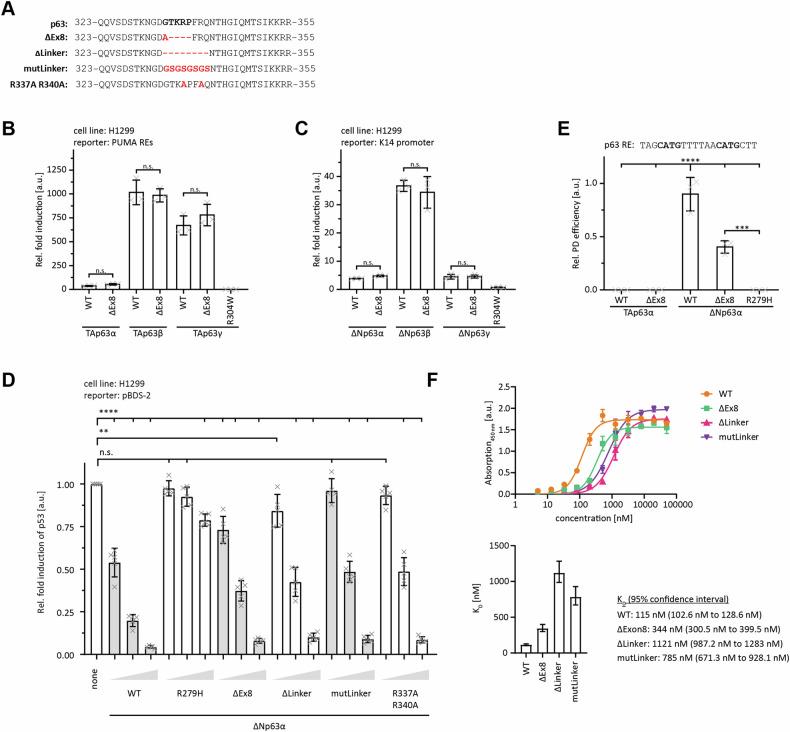 https://cdn.ncbi.nlm.nih.gov/pmc/blobs/32de/11704248/e07bc1ec33bc/41419_2024_7320_Fig3_HTML.jpg