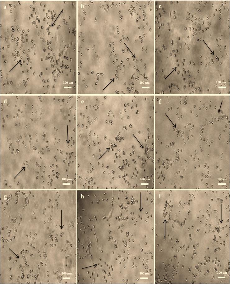 https://cdn.ncbi.nlm.nih.gov/pmc/blobs/32de/9280575/269ccc5f3814/gr2.jpg