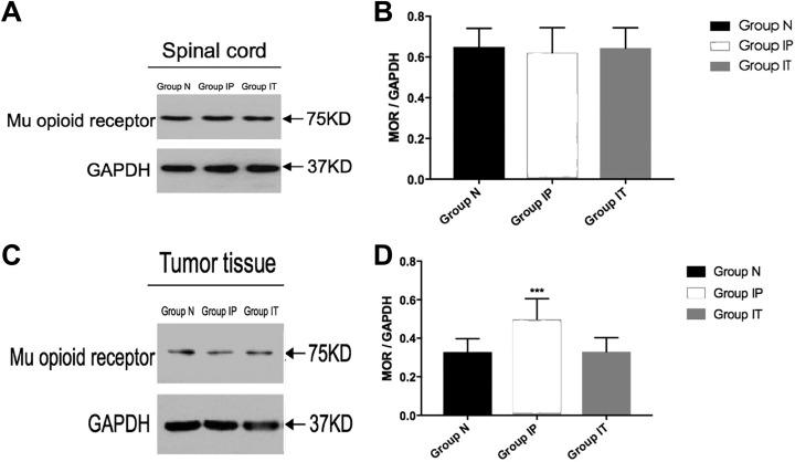 https://cdn.ncbi.nlm.nih.gov/pmc/blobs/32e0/6794653/0e427f0a76a9/10.1177_1559325819882873-fig3.jpg
