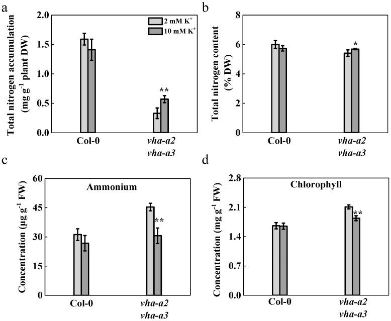 https://cdn.ncbi.nlm.nih.gov/pmc/blobs/32e1/7792577/569d457a8bb1/ijms-22-00002-g007.jpg