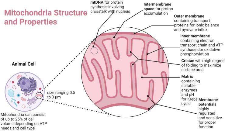 https://cdn.ncbi.nlm.nih.gov/pmc/blobs/32e2/10468651/df865e0fdb1d/rbad070f1.jpg