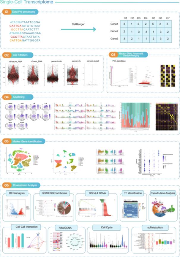 https://cdn.ncbi.nlm.nih.gov/pmc/blobs/32e3/11316920/415ec4682068/IMT2-3-e217-g002.jpg