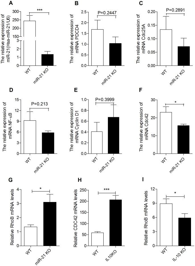 https://cdn.ncbi.nlm.nih.gov/pmc/blobs/32ec/3691313/3cf1b5825d81/pone.0066814.g007.jpg