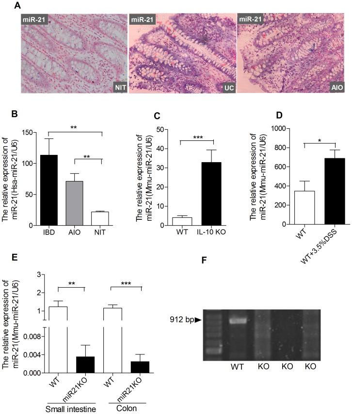 https://cdn.ncbi.nlm.nih.gov/pmc/blobs/32ec/3691313/e11b25fddfe9/pone.0066814.g001.jpg