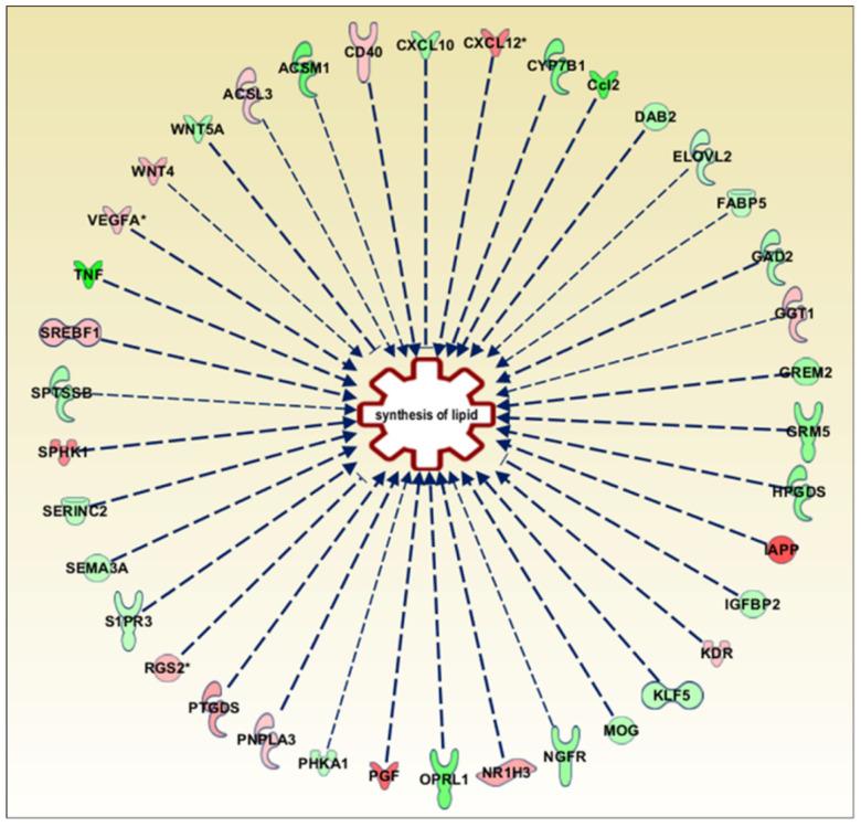 https://cdn.ncbi.nlm.nih.gov/pmc/blobs/32ec/9368002/df468097187e/cells-11-02369-g001.jpg