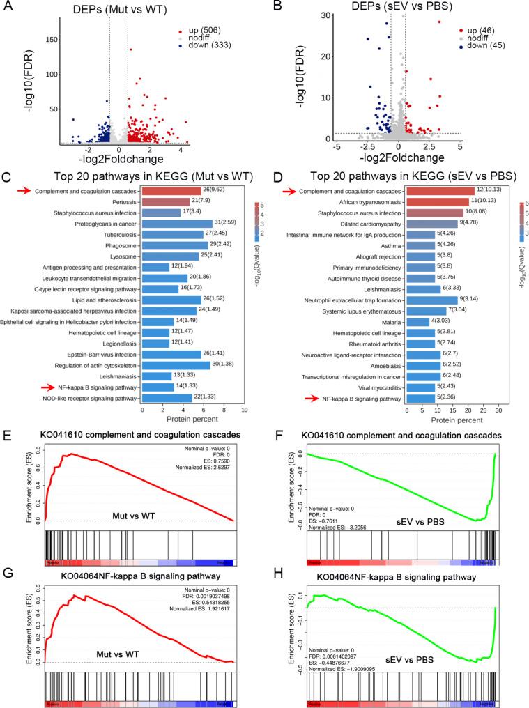 https://cdn.ncbi.nlm.nih.gov/pmc/blobs/32ee/11340036/108350dc9113/12951_2024_2764_Fig8_HTML.jpg