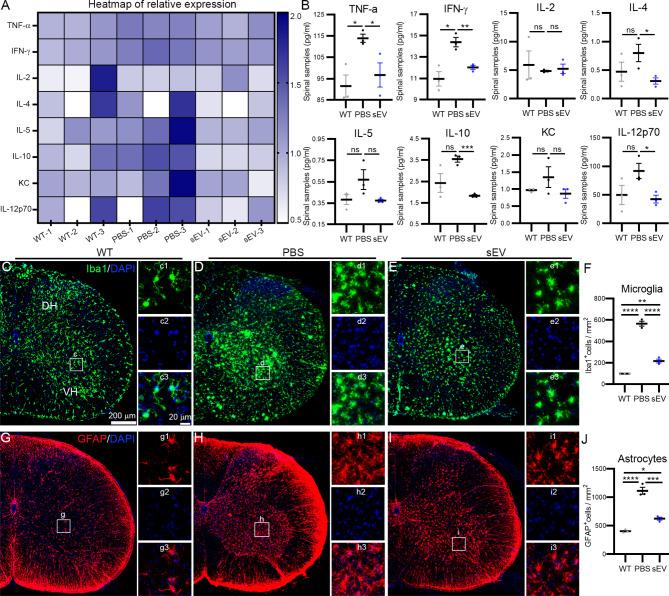https://cdn.ncbi.nlm.nih.gov/pmc/blobs/32ee/11340036/46f7f5316ac0/12951_2024_2764_Fig7_HTML.jpg
