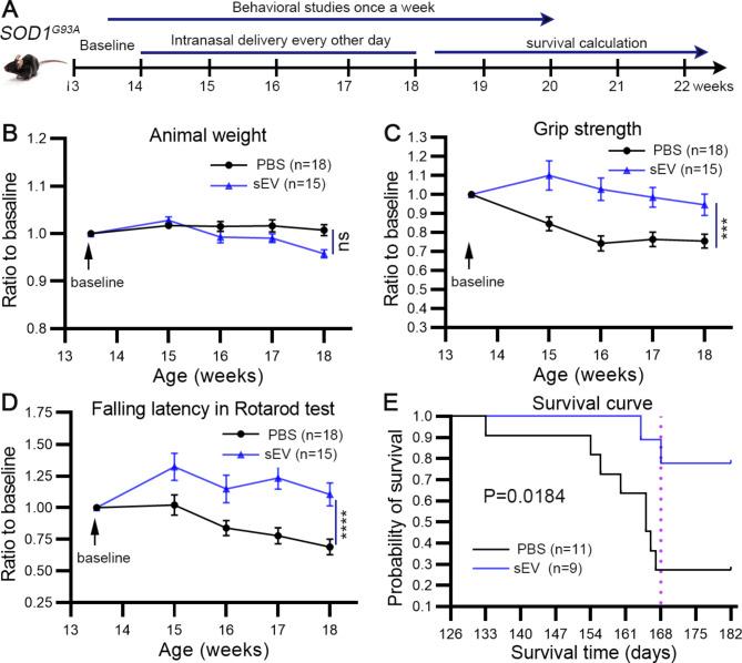 https://cdn.ncbi.nlm.nih.gov/pmc/blobs/32ee/11340036/fb7bcf76665e/12951_2024_2764_Fig3_HTML.jpg