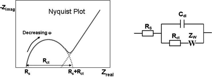 https://cdn.ncbi.nlm.nih.gov/pmc/blobs/32ee/4986461/495294342935/bse0600069fig4.jpg