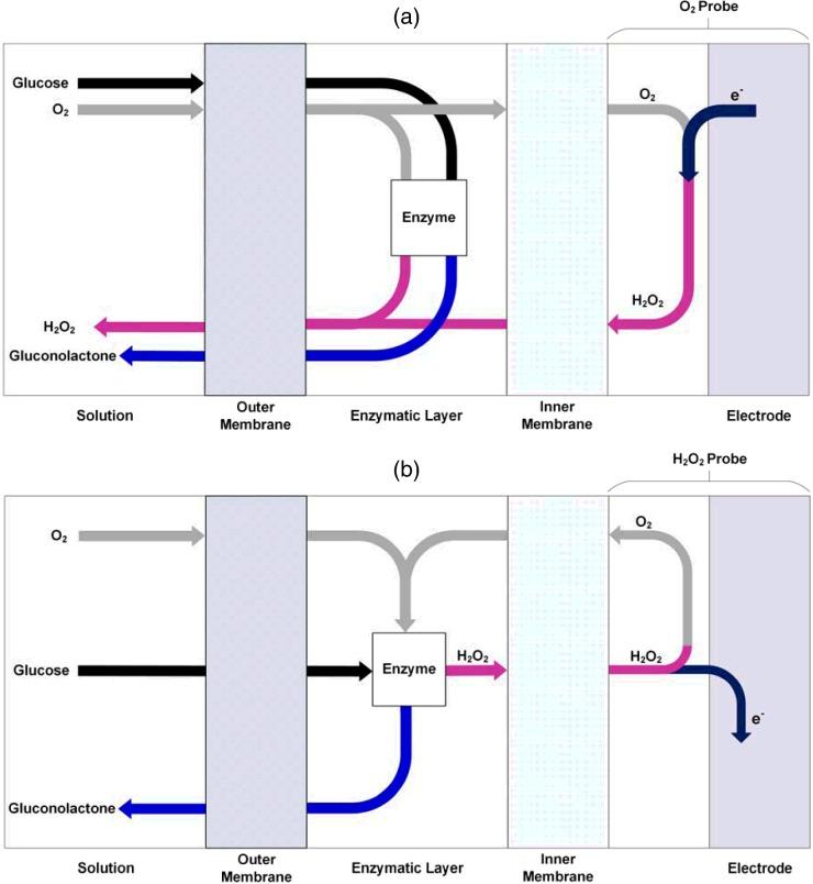 https://cdn.ncbi.nlm.nih.gov/pmc/blobs/32ee/4986461/7a44b7e1309a/bse0600069fig1.jpg