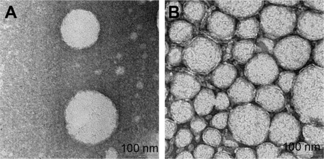 https://cdn.ncbi.nlm.nih.gov/pmc/blobs/32ee/5927357/5e8064f730f5/ijn-13-2571Fig4.jpg