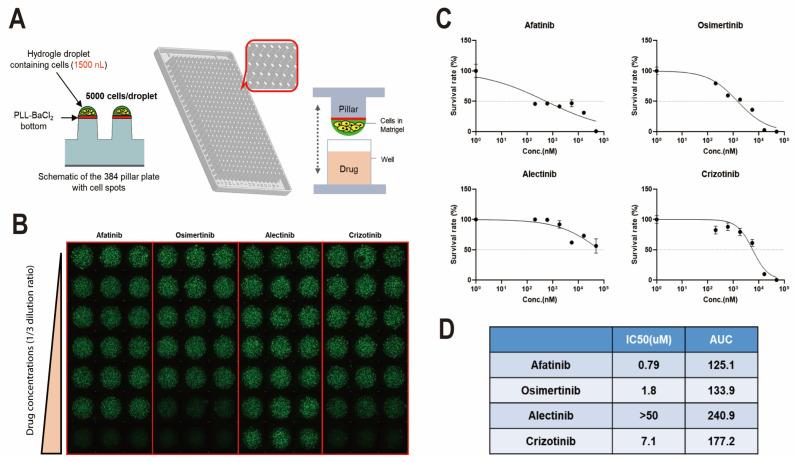 https://cdn.ncbi.nlm.nih.gov/pmc/blobs/32f1/10377875/1253ce7add6c/cells-12-01854-g004.jpg