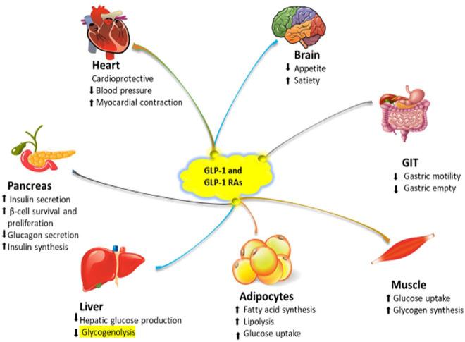 https://cdn.ncbi.nlm.nih.gov/pmc/blobs/32f1/7844452/8fab4475b695/10.1177_2042018821989238-fig1.jpg
