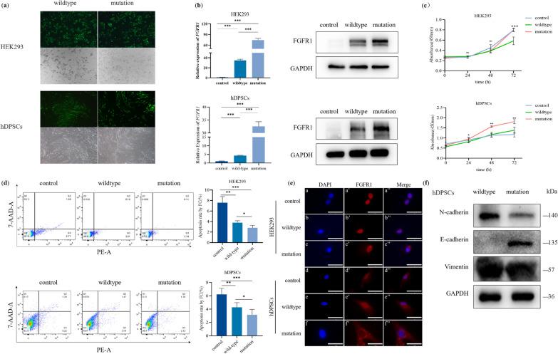 https://cdn.ncbi.nlm.nih.gov/pmc/blobs/32f2/10576343/8bea32b76979/40246_2023_539_Fig3_HTML.jpg