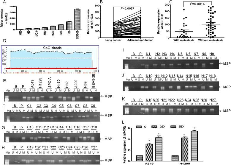 https://cdn.ncbi.nlm.nih.gov/pmc/blobs/32f2/5100283/415741e13fb8/13046_2016_450_Fig1_HTML.jpg