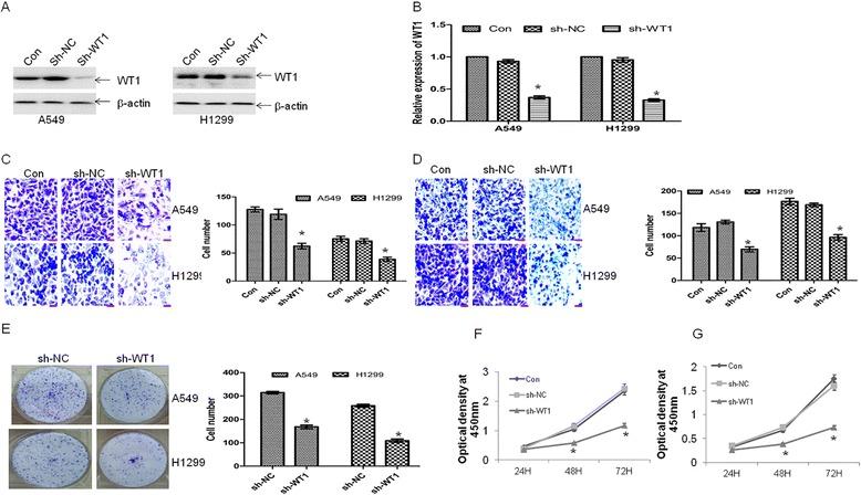 https://cdn.ncbi.nlm.nih.gov/pmc/blobs/32f2/5100283/fc390582faf6/13046_2016_450_Fig4_HTML.jpg