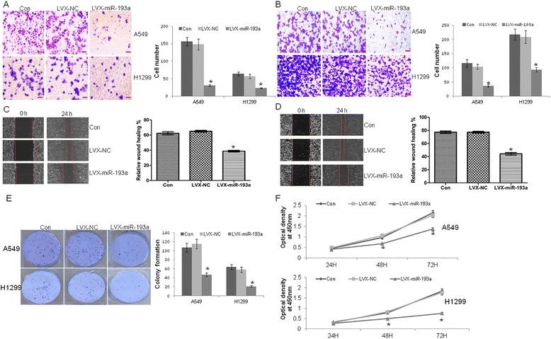 https://cdn.ncbi.nlm.nih.gov/pmc/blobs/32f2/5100283/fdb85666ca17/13046_2016_450_Fig2_HTML.jpg