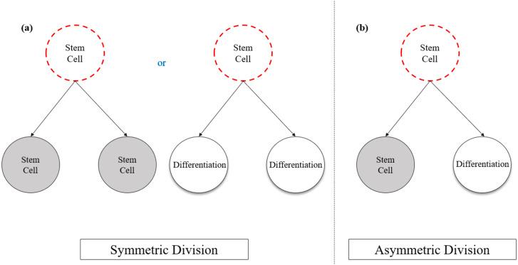 https://cdn.ncbi.nlm.nih.gov/pmc/blobs/32f4/7680049/4856760ce1f6/peerj-08-10346-g001.jpg