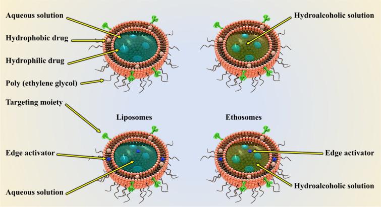 https://cdn.ncbi.nlm.nih.gov/pmc/blobs/32f5/8056051/db89ee9166e0/EXCLI-20-562-g-002.jpg
