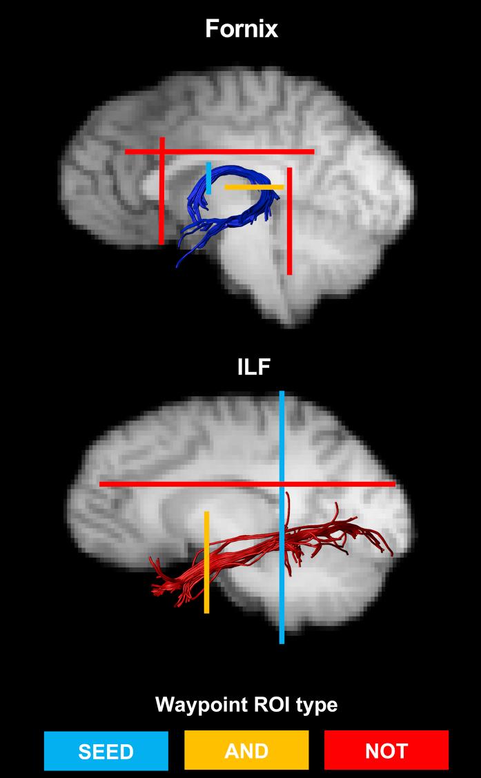 https://cdn.ncbi.nlm.nih.gov/pmc/blobs/32f6/5576916/0e9571d1046c/gr1.jpg