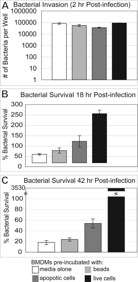 https://cdn.ncbi.nlm.nih.gov/pmc/blobs/32f7/2156093/54b1b910a03a/ppat.0030193.g006.jpg