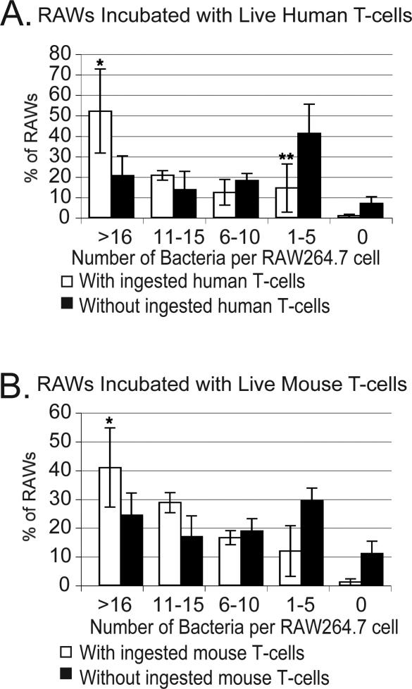 https://cdn.ncbi.nlm.nih.gov/pmc/blobs/32f7/2156093/f66adcd022ee/ppat.0030193.g008.jpg