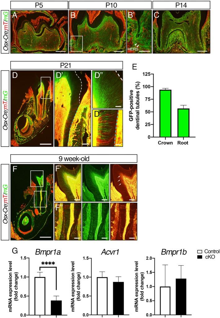 https://cdn.ncbi.nlm.nih.gov/pmc/blobs/32f7/7017888/83659ca30add/JBM4-4-e10249-g001.jpg