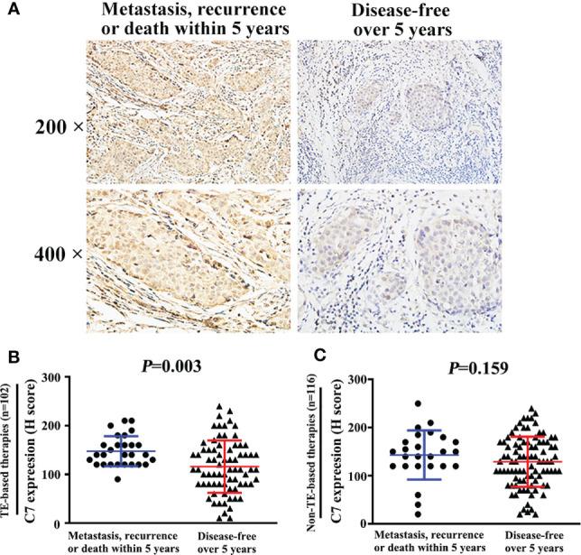 https://cdn.ncbi.nlm.nih.gov/pmc/blobs/32f7/8497743/c9ebd0a65e08/fonc-11-724250-g007.jpg