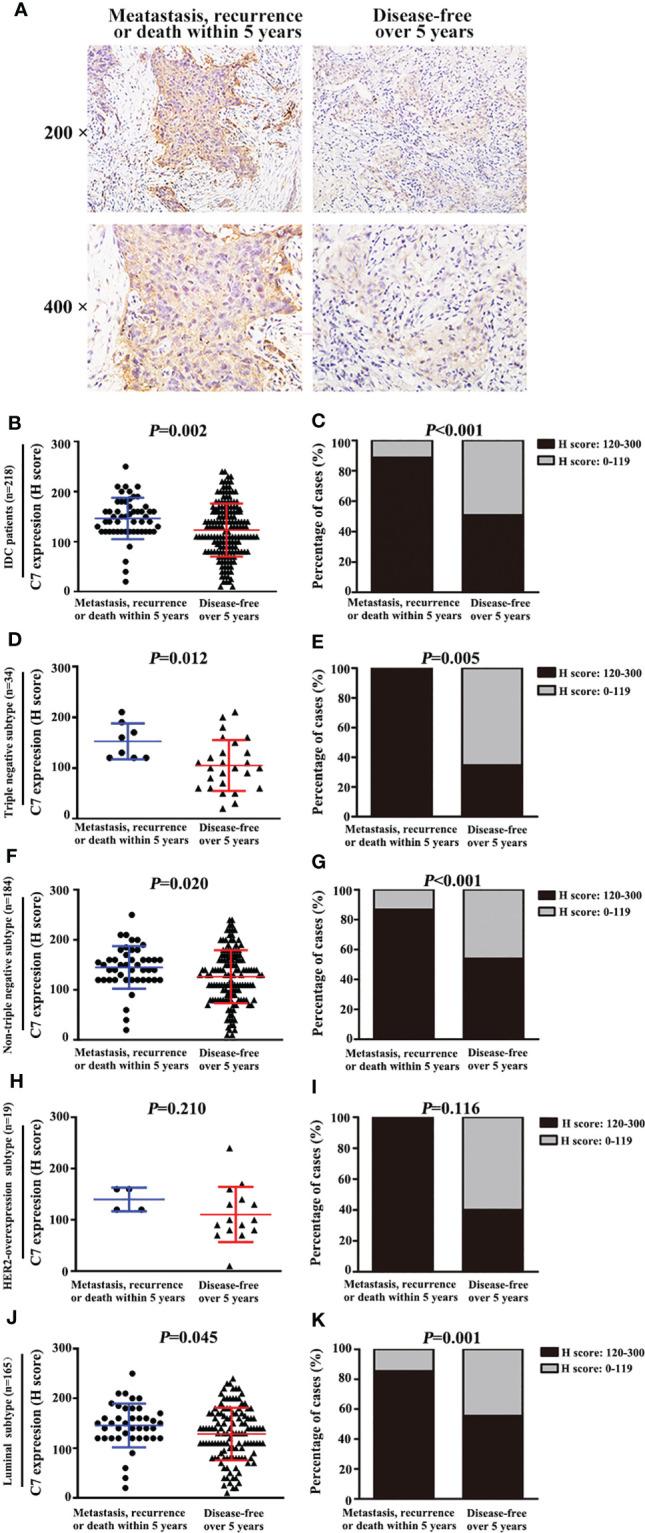 https://cdn.ncbi.nlm.nih.gov/pmc/blobs/32f7/8497743/db35912a6e65/fonc-11-724250-g003.jpg