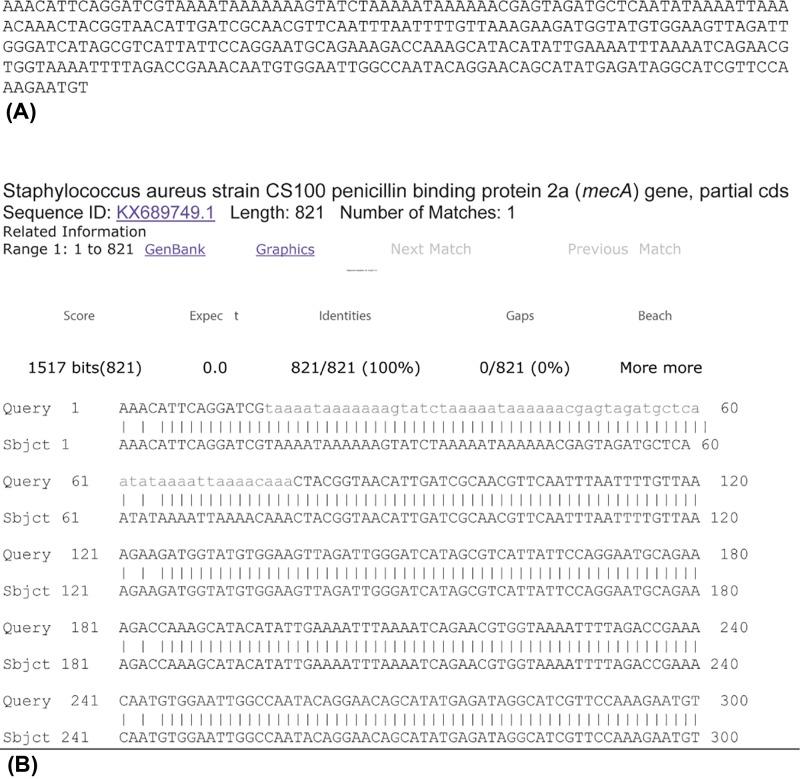 https://cdn.ncbi.nlm.nih.gov/pmc/blobs/32f8/7167254/f2fd2787c452/bsr-40-bsr20193470-g5.jpg