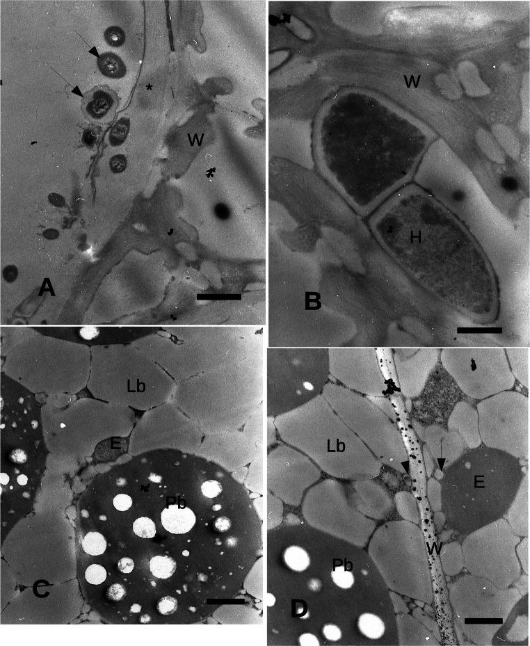 https://cdn.ncbi.nlm.nih.gov/pmc/blobs/32f8/8007504/5b1c5f9b8ae6/253_2021_11212_Fig2_HTML.jpg