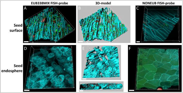 https://cdn.ncbi.nlm.nih.gov/pmc/blobs/32f8/8007504/d067d7714799/253_2021_11212_Fig5_HTML.jpg