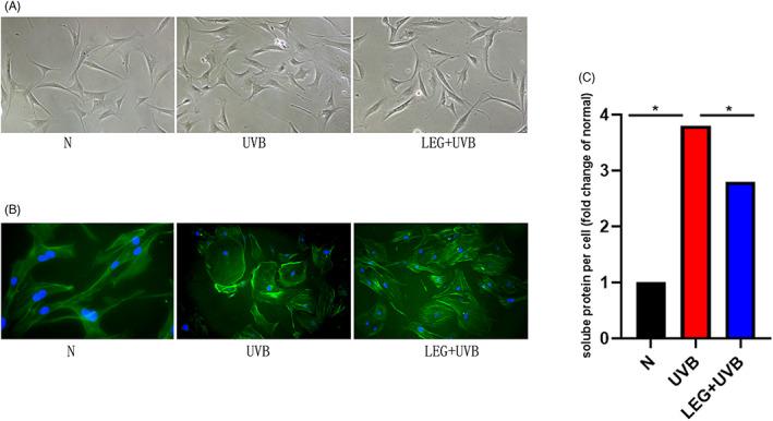 https://cdn.ncbi.nlm.nih.gov/pmc/blobs/32fa/10084420/b2747b758650/JOCD-22-505-g002.jpg