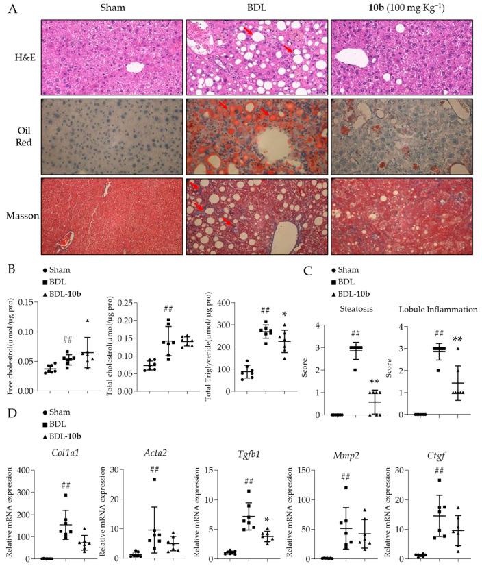 https://cdn.ncbi.nlm.nih.gov/pmc/blobs/32fb/10221314/87b9064b6713/pharmaceuticals-16-00758-g007.jpg