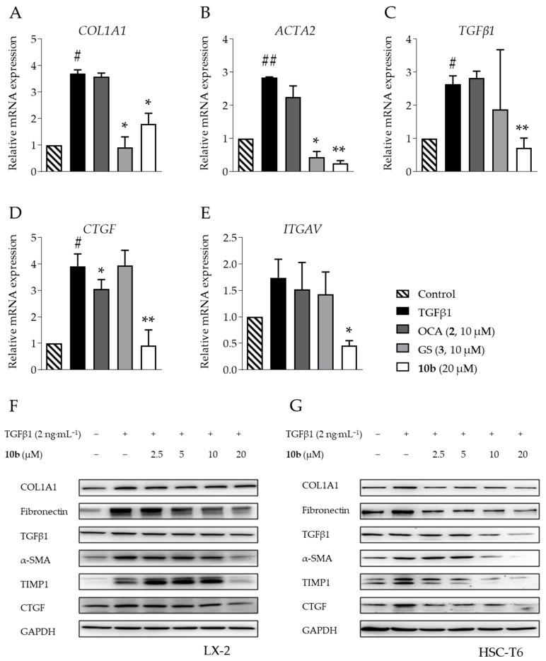 https://cdn.ncbi.nlm.nih.gov/pmc/blobs/32fb/10221314/9a05c0053de6/pharmaceuticals-16-00758-g005.jpg