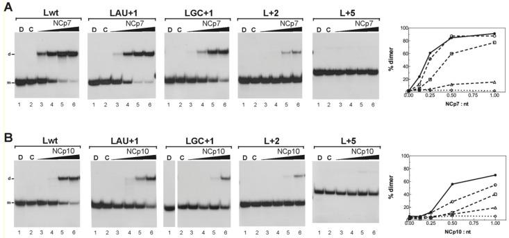 https://cdn.ncbi.nlm.nih.gov/pmc/blobs/32fb/8953772/0c71c561bcd3/viruses-14-00606-g008.jpg