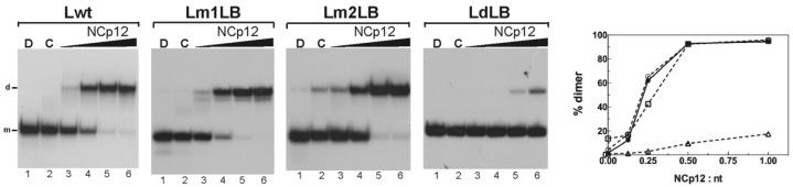 https://cdn.ncbi.nlm.nih.gov/pmc/blobs/32fb/8953772/bf456df5cd1f/viruses-14-00606-g004.jpg