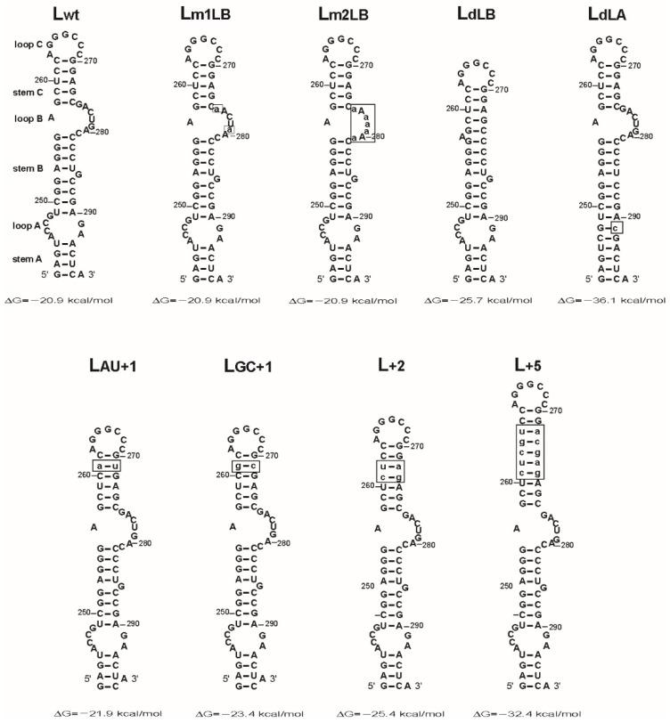 https://cdn.ncbi.nlm.nih.gov/pmc/blobs/32fb/8953772/f79142247778/viruses-14-00606-g003.jpg