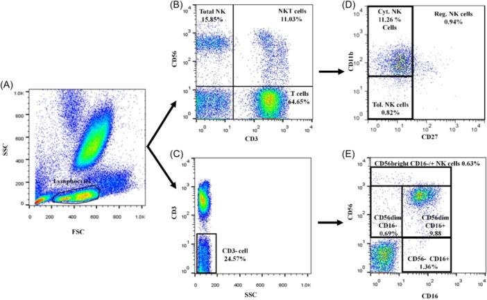 https://cdn.ncbi.nlm.nih.gov/pmc/blobs/32fc/11037257/678d498d815e/IID3-12-e1255-g004.jpg
