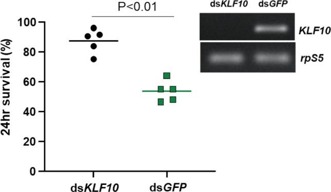 https://cdn.ncbi.nlm.nih.gov/pmc/blobs/32fe/8994780/c2a5ee2660be/41598_2022_9817_Fig2_HTML.jpg