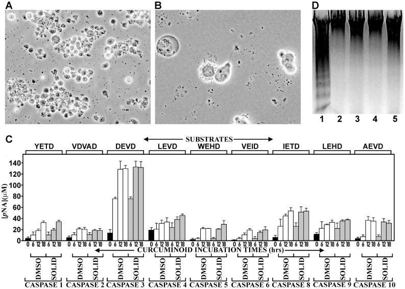 https://cdn.ncbi.nlm.nih.gov/pmc/blobs/3301/3383725/04ed2281f949/pone.0039568.g004.jpg
