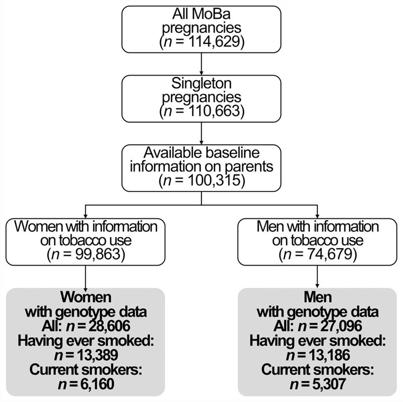 https://cdn.ncbi.nlm.nih.gov/pmc/blobs/3302/7612999/88e9a3853e52/EMS146213-f001.jpg