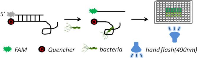 https://cdn.ncbi.nlm.nih.gov/pmc/blobs/3302/7876845/f117c3d6062a/ao0c05374_0008.jpg