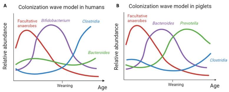 https://cdn.ncbi.nlm.nih.gov/pmc/blobs/3303/9500663/ffa98cfbd69a/microorganisms-10-01831-g003.jpg