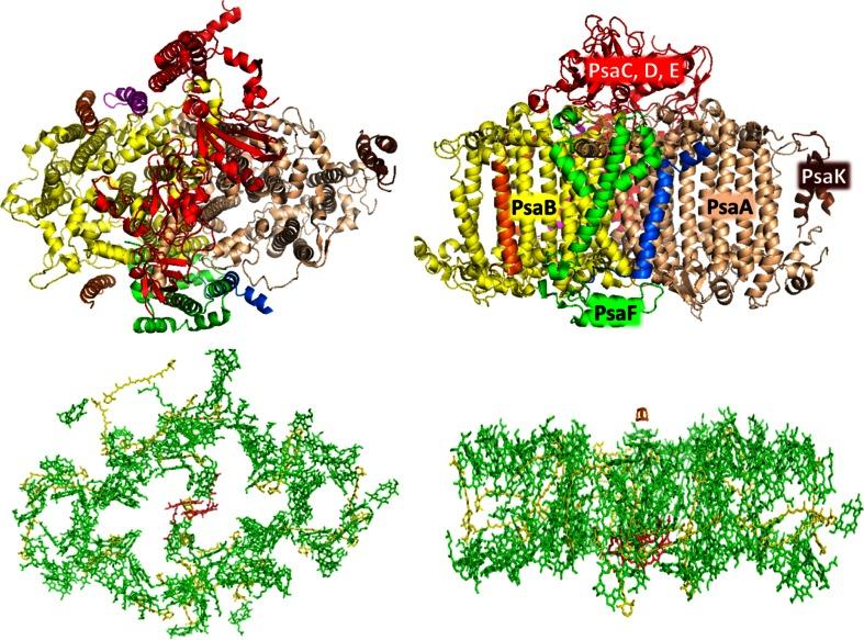 https://cdn.ncbi.nlm.nih.gov/pmc/blobs/3304/3825136/9648db2888a2/11120_2013_9838_Fig2_HTML.jpg