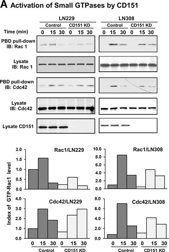 https://cdn.ncbi.nlm.nih.gov/pmc/blobs/3307/4745755/f29d8bac8555/oncotarget-06-29675-g011.jpg