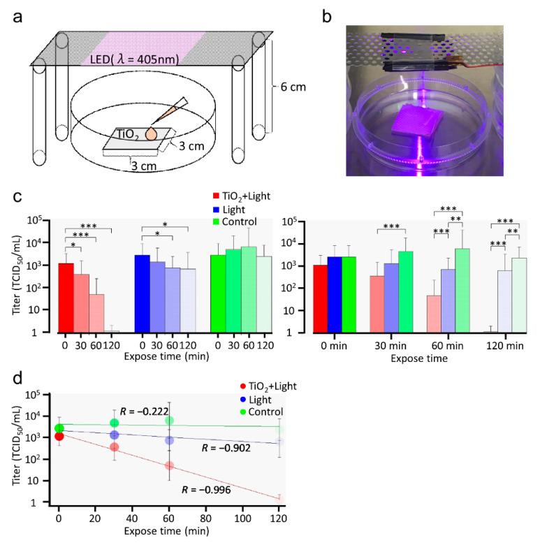 https://cdn.ncbi.nlm.nih.gov/pmc/blobs/3307/8161138/6c4affbb0cb0/viruses-13-00942-g001.jpg