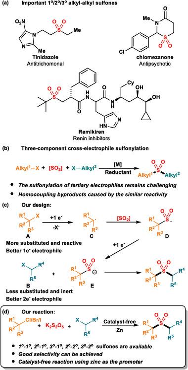 https://cdn.ncbi.nlm.nih.gov/pmc/blobs/330a/11347995/03aeb3e25bb8/ADVS-11-2406228-g006.jpg