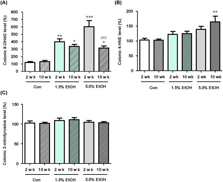 https://cdn.ncbi.nlm.nih.gov/pmc/blobs/330a/7880462/6489ca7c8b89/pone.0246580.g003.jpg